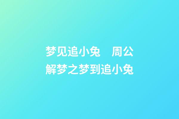 梦见追小兔　周公解梦之梦到追小兔